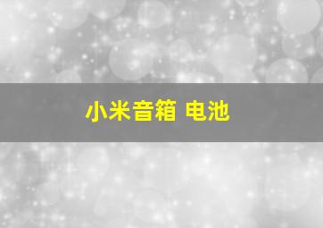 小米音箱 电池